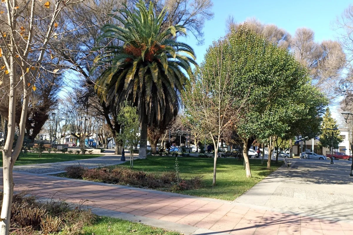 Plaza de Longaví